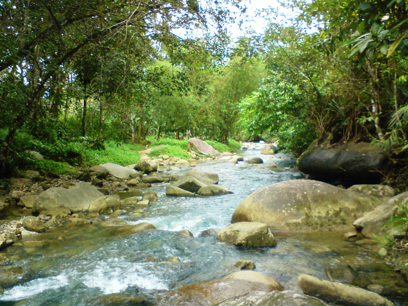 Contoh Ekosistem Di Sungai - Contoh 0108